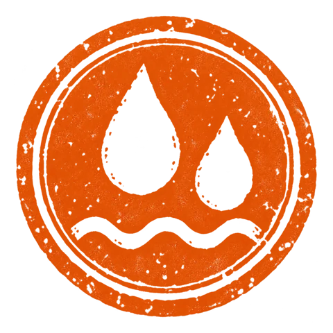 Monsoon stamp